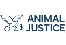 Animal Justice Canada Benevity Causes